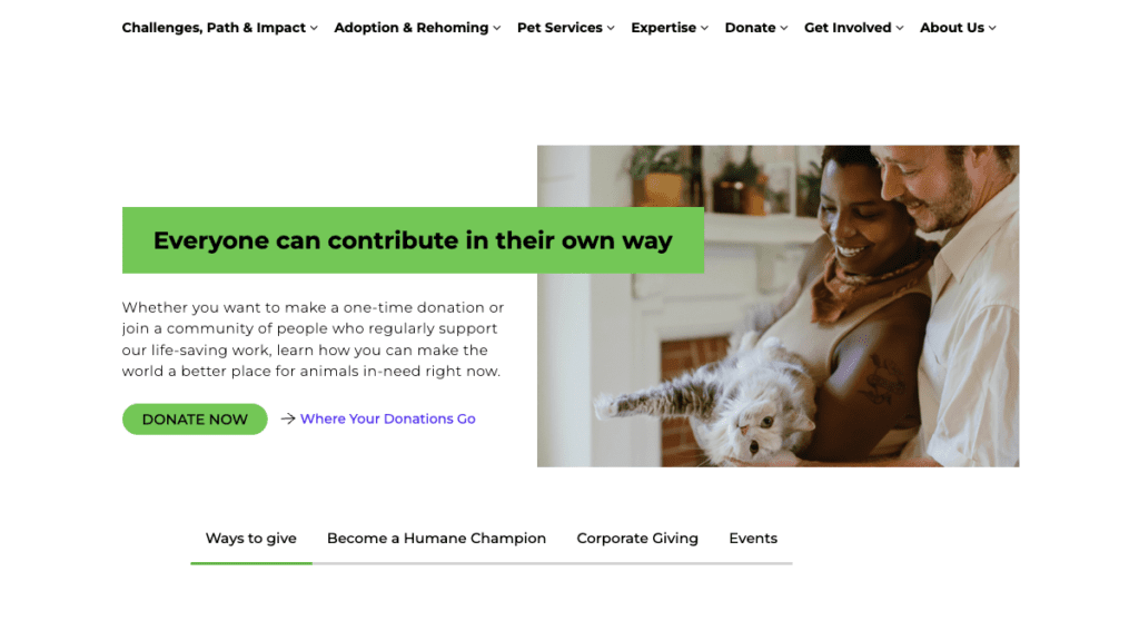 Donation Button Best Practices: Make It A Must-Click and Raise More Funds!  - WildApricot
