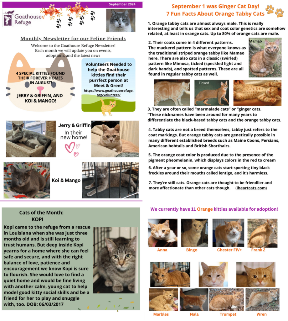 Goathouse Refuge Newsletter